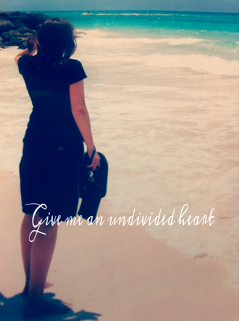 beachpic-give-me-an-undivided-heart
